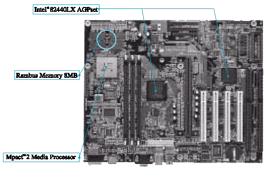 Cerberus Motherboard